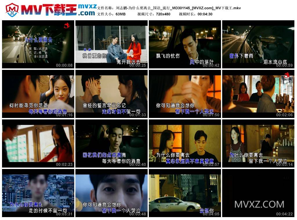 刘志鹏-为什么要离去_国语_流行_MD301145